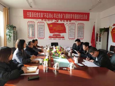 寧夏岳氏黨支部召開“不忘初心，牢記使命”主題教育專題組織生活會